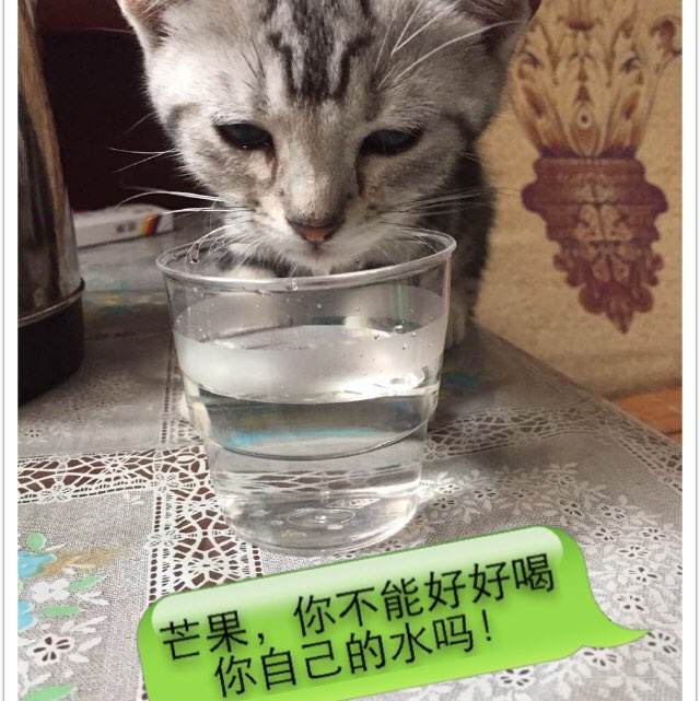自考拿学士学位证有用吗
